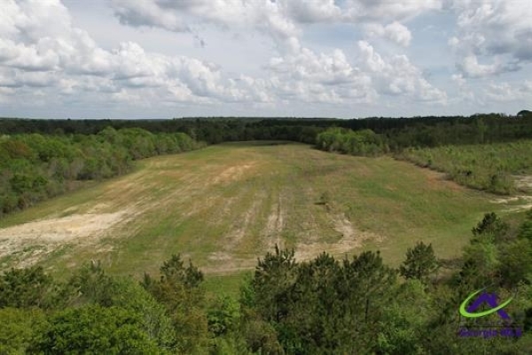 Listing Image #3 - Land for sale at 191 acres Bethel Church Road, Eastman GA 31023