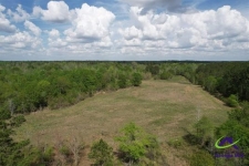 Listing Image #2 - Land for sale at 191 acres Bethel Church Road, Eastman GA 31023