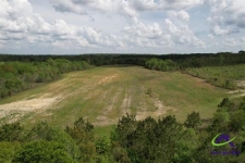 Listing Image #3 - Land for sale at 191 acres Bethel Church Road, Eastman GA 31023
