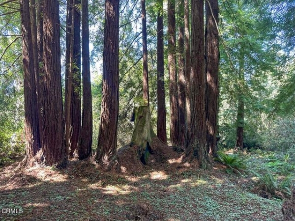 Listing Image #1 - Land for sale at 31320 Airport Road, Fort Bragg CA 95437
