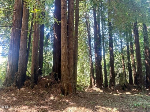 Listing Image #3 - Land for sale at 31320 Airport Road, Fort Bragg CA 95437