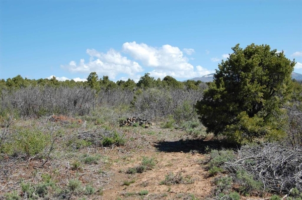 Listing Image #3 - Land for sale at 4195 De Oro Way, Hesperus CO 81326