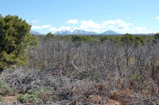 Listing Image #2 - Land for sale at 4195 De Oro Way, Hesperus CO 81326