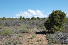 Listing Image #3 - Land for sale at 4195 De Oro Way, Hesperus CO 81326