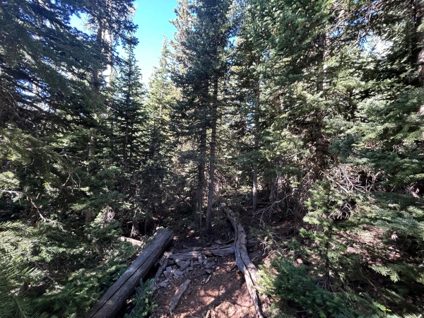 Listing Image #1 - Land for sale at W Hunter Ridge DR, Brian Head UT 84719
