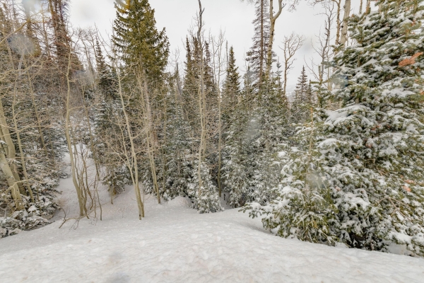Listing Image #2 - Land for sale at W Hunter Ridge DR, Brian Head UT 84719