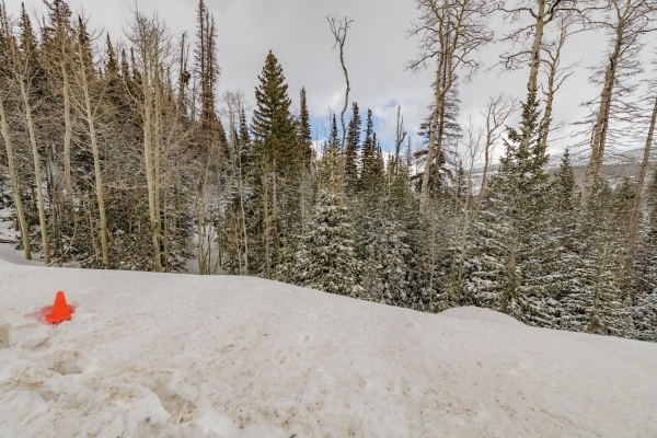 Listing Image #3 - Land for sale at W Hunter Ridge DR, Brian Head UT 84719