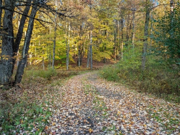 Listing Image #3 - Land for sale at 55 Houlahan Road, Florence NY 13316