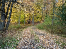 Listing Image #3 - Land for sale at 55 Houlahan Road, Florence NY 13316