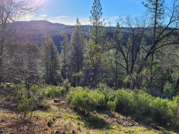 Listing Image #1 - Land for sale at 20100 Grizzly Creek Road, Nevada City CA 95959