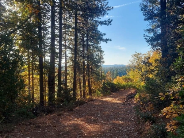 Listing Image #2 - Land for sale at 20100 Grizzly Creek Road, Nevada City CA 95959