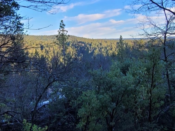 Listing Image #3 - Land for sale at 20100 Grizzly Creek Road, Nevada City CA 95959