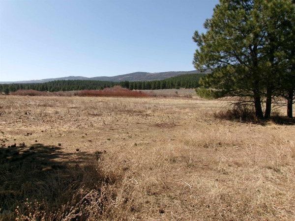 Listing Image #2 - Others for sale at 20 North Angel Fire Road, Angel Fire NM 87710