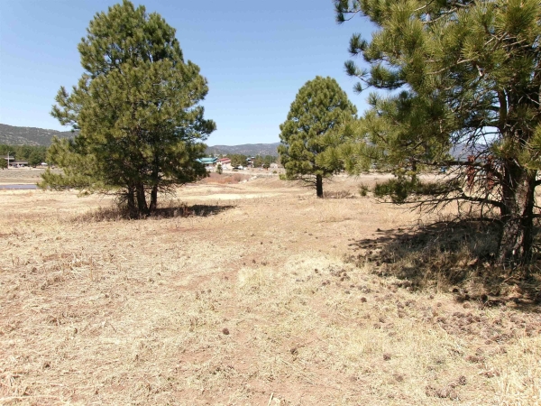 Listing Image #3 - Others for sale at 20 North Angel Fire Road, Angel Fire NM 87710