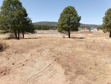 Others for sale in Angel Fire, NM