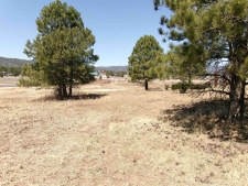 Listing Image #3 - Others for sale at 20 North Angel Fire Road, Angel Fire NM 87710