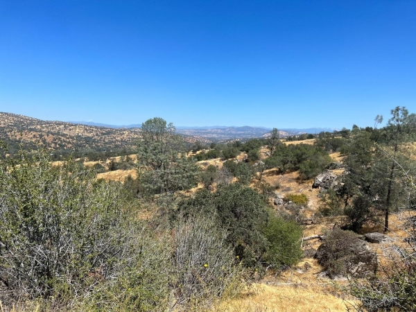 Listing Image #2 - Others for sale at 1572 Lilley Mountain Drive, Coarsegold CA 93614
