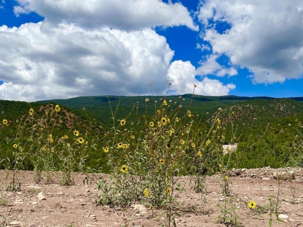 Listing Image #1 - Others for sale at 13 Vista Grande, Cedar Crest NM 87008
