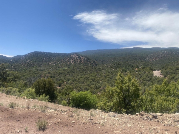 Listing Image #2 - Others for sale at 13 Vista Grande, Cedar Crest NM 87008