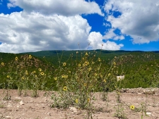 Others for sale in Cedar Crest, NM