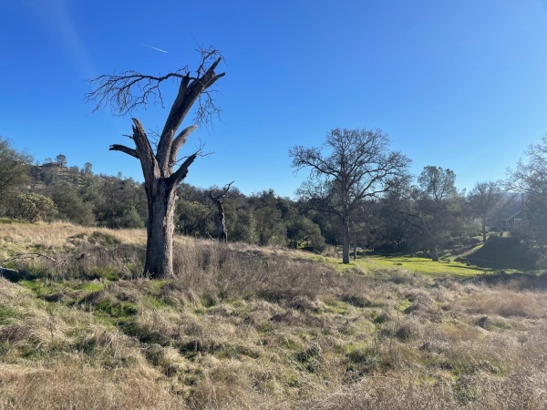 Listing Image #1 - Others for sale at 741 Long Hollow Drive, Coarsegold CA 93614