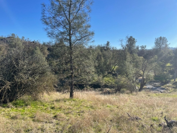 Listing Image #3 - Others for sale at 741 Long Hollow Drive, Coarsegold CA 93614