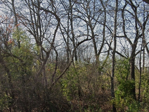 Listing Image #1 - Land for sale at 160 N US Hwy12, Fox Lake IL 60020