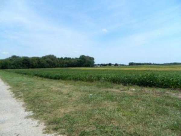 Listing Image #1 - Others for sale at 7000 East North Street, Braceville IL 60407