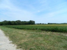 Others property for sale in Braceville, IL