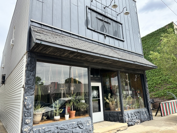Listing Image #1 - Others for sale at 115-117 N Main Street, Ladd IL 61329