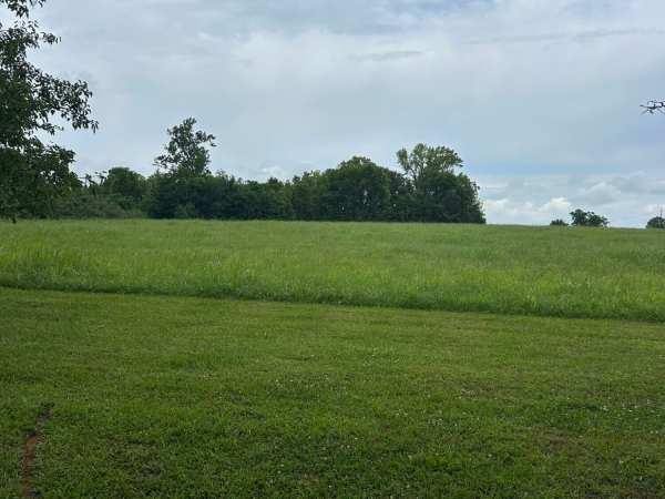 Listing Image #1 - Others for sale at 0 N. Mercer & N. By Pass West, Washington GA 30673