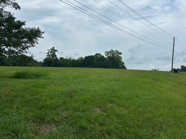 Listing Image #2 - Others for sale at 0 N. Mercer & N. By Pass West, Washington GA 30673
