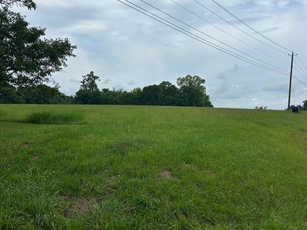 Listing Image #3 - Others for sale at 0 N. Mercer & N. By Pass West, Washington GA 30673