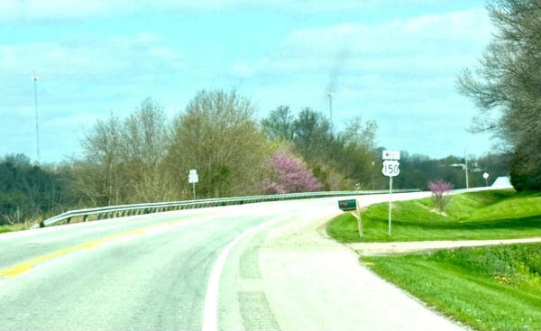 Listing Image #2 - Others for sale at 8689 Bardstown Road, Springfield KY 40069