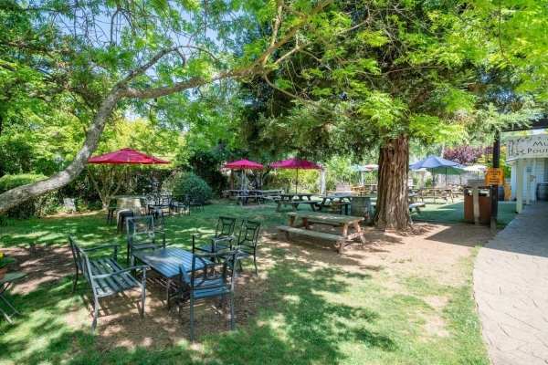 Listing Image #2 - Others for sale at 350 Main Street, Murphys CA 95247