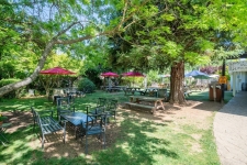 Listing Image #2 - Others for sale at 350 Main Street, Murphys CA 95247