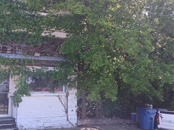 Listing Image #3 - Others for sale at 406 Main, Haileyville OK 74546