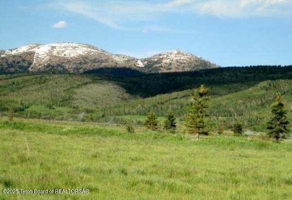 Listing Image #1 - Others for sale at 1185 S SORENSEN WAY, Alta WY 83414