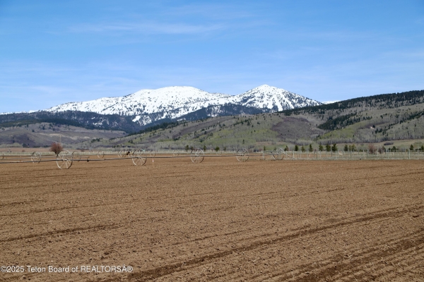 Listing Image #1 - Others for sale at TBD STATELINE Road, Driggs ID 83422