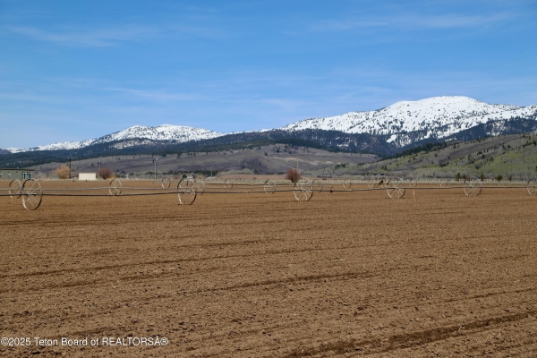 Listing Image #3 - Others for sale at TBD STATELINE Road, Driggs ID 83422