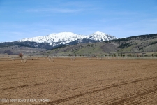 Others for sale in Driggs, ID