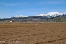 Listing Image #3 - Others for sale at TBD STATELINE Road, Driggs ID 83422