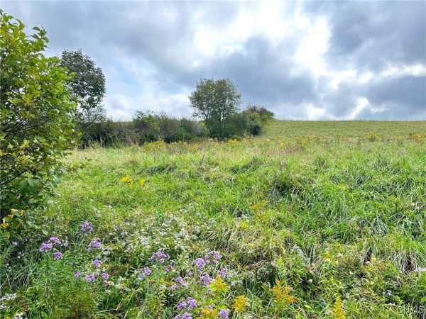 Listing Image #1 - Land for sale at Buck Road, Otsego NY 13337