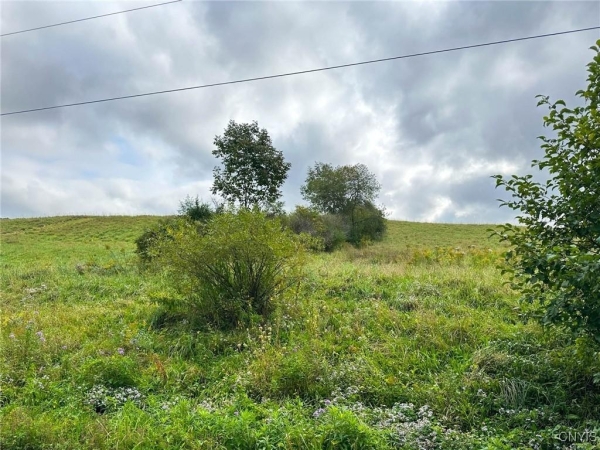 Listing Image #2 - Land for sale at Buck Road, Otsego NY 13337