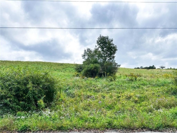 Listing Image #3 - Land for sale at Buck Road, Otsego NY 13337