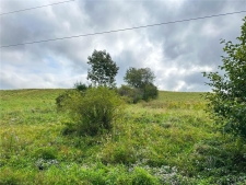 Listing Image #2 - Land for sale at Buck Road, Otsego NY 13337