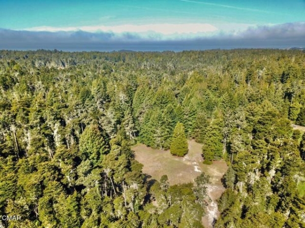 Listing Image #2 - Land for sale at 43535 Comptche Ukiah Road, Mendocino CA 95460