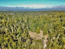 Listing Image #2 - Land for sale at 43535 Comptche Ukiah Road, Mendocino CA 95460