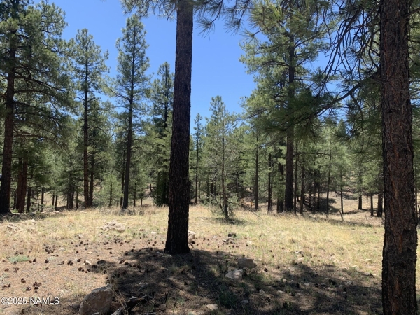Listing Image #2 - Land for sale at 2343 E Del Rae Drive, Flagstaff AZ 86005