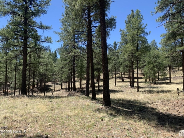 Listing Image #3 - Land for sale at 2343 E Del Rae Drive, Flagstaff AZ 86005